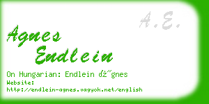 agnes endlein business card